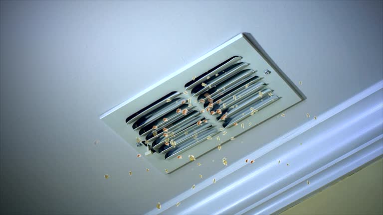 Best Air Duct Cleaning Near Me  in Bowdon, GA